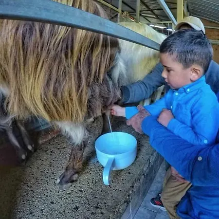 San Cataldo Séjour à la ferme Motta Camastra