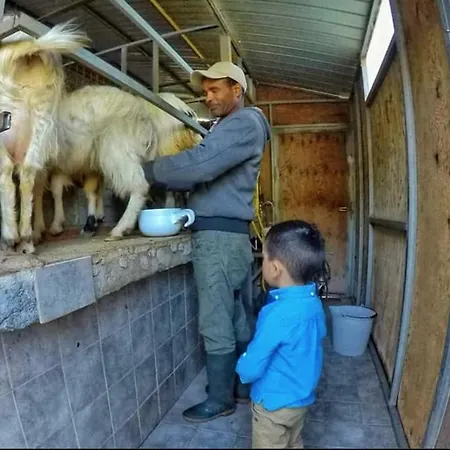 San Cataldo Séjour à la ferme Motta Camastra